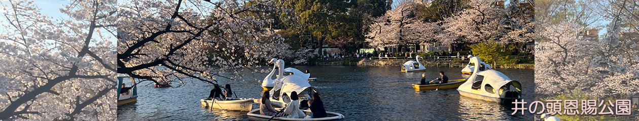 武蔵野市観光機構（むー観）公式ブログ