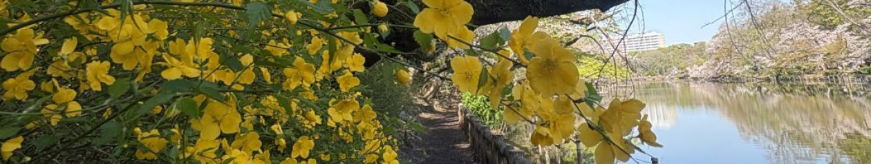 武蔵野市観光機構（むー観）公式ブログ